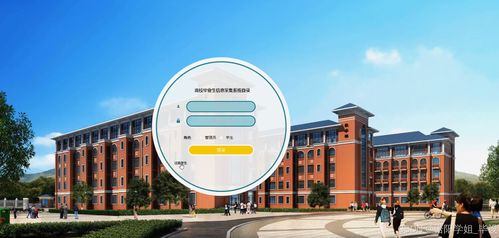 高校畢業生信息采集系統的設計與實現——基于Java與Vue的前后端分離架構